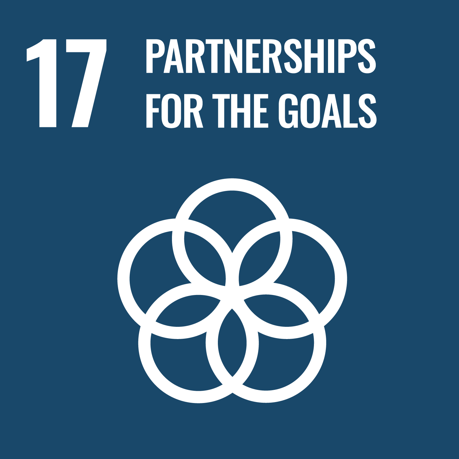 SDG17